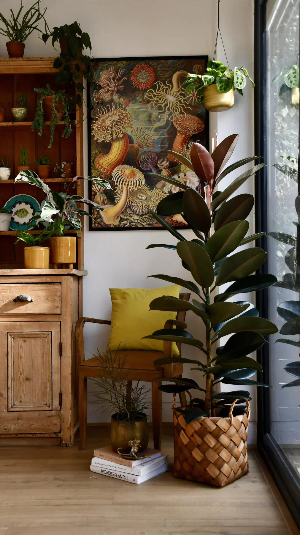 Five Reasons Your Plants Keep Dying and How to Fix Them Permanently
