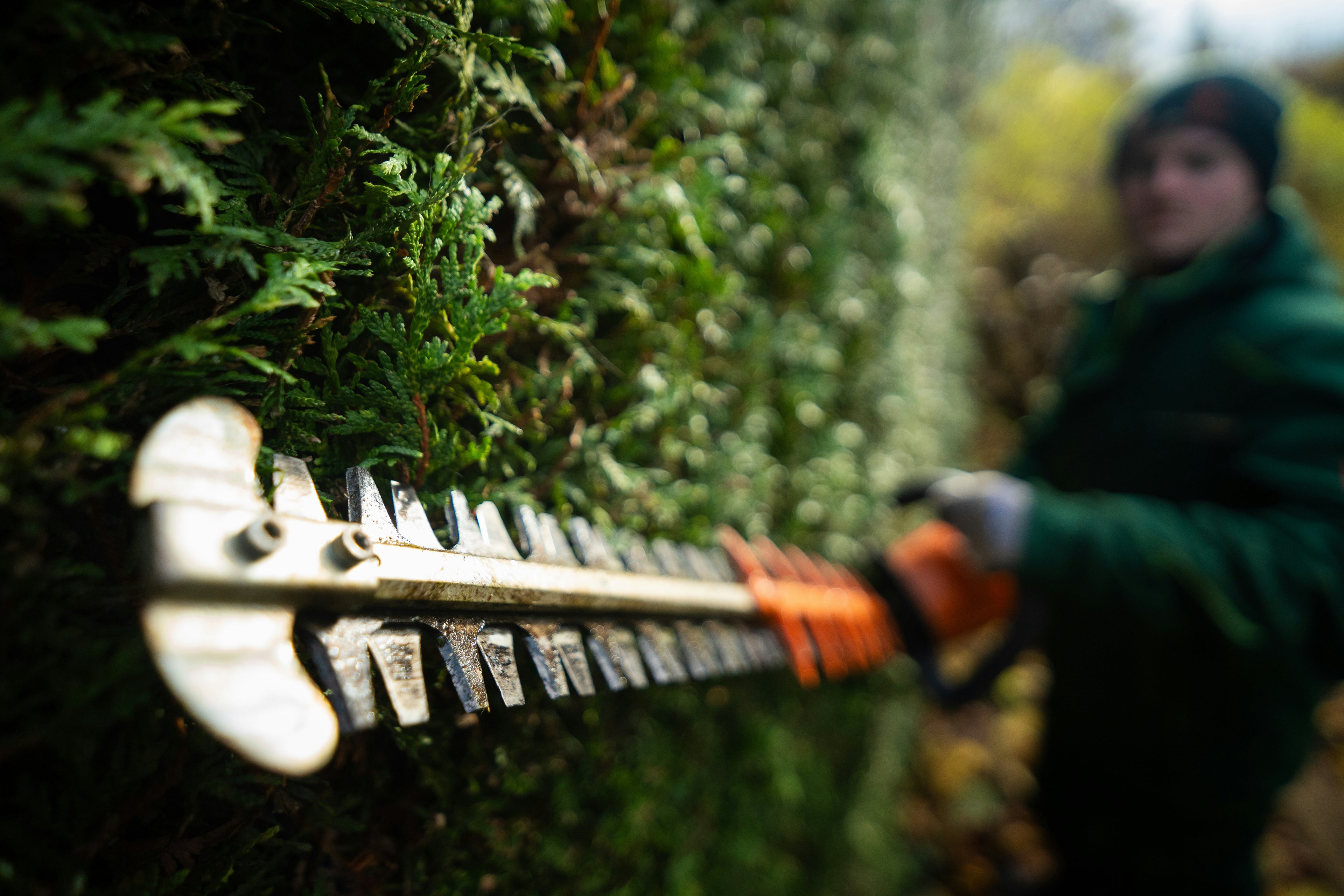 Premium Landscaping & Maintenance Services in Dubai