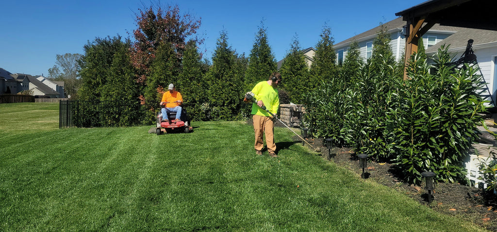 Premium Landscaping & Maintenance Services in Dubai