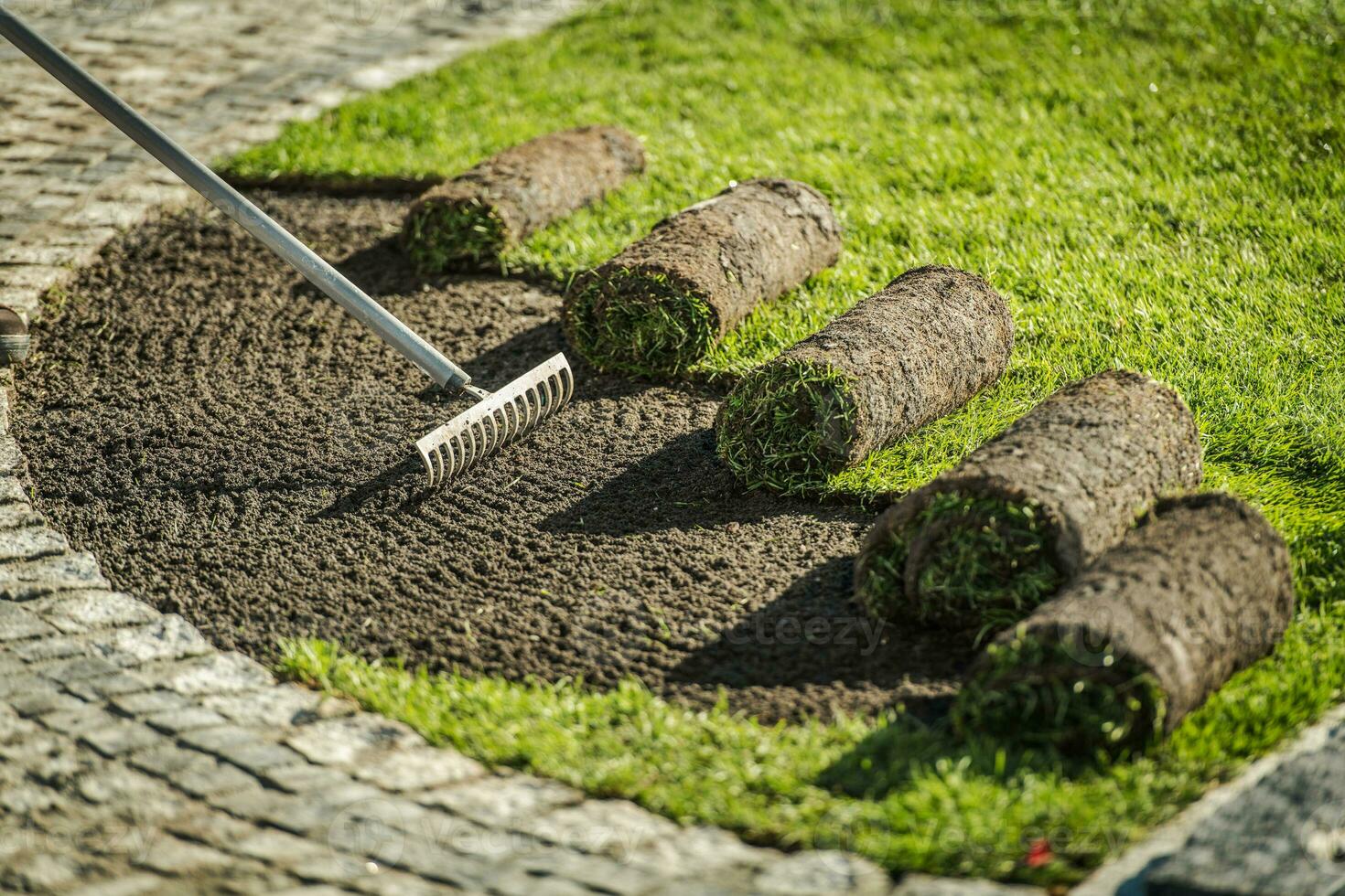 Grass Planting Services in Dubai