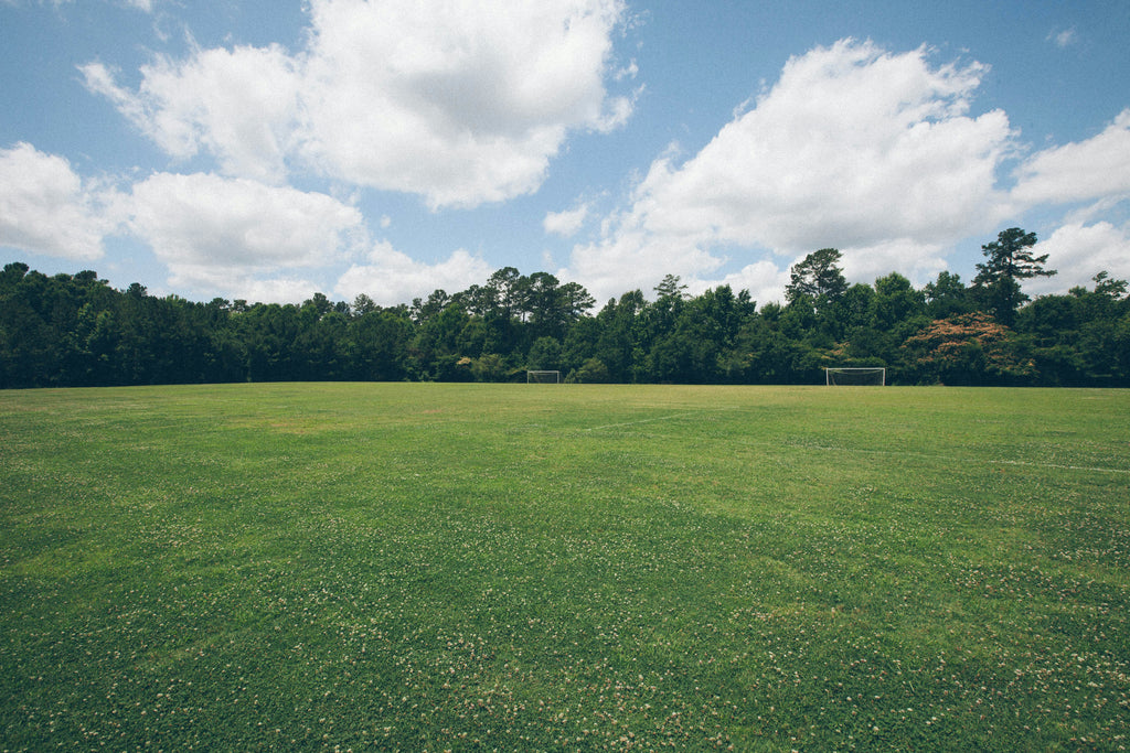 Grass Planting Services in Dubai