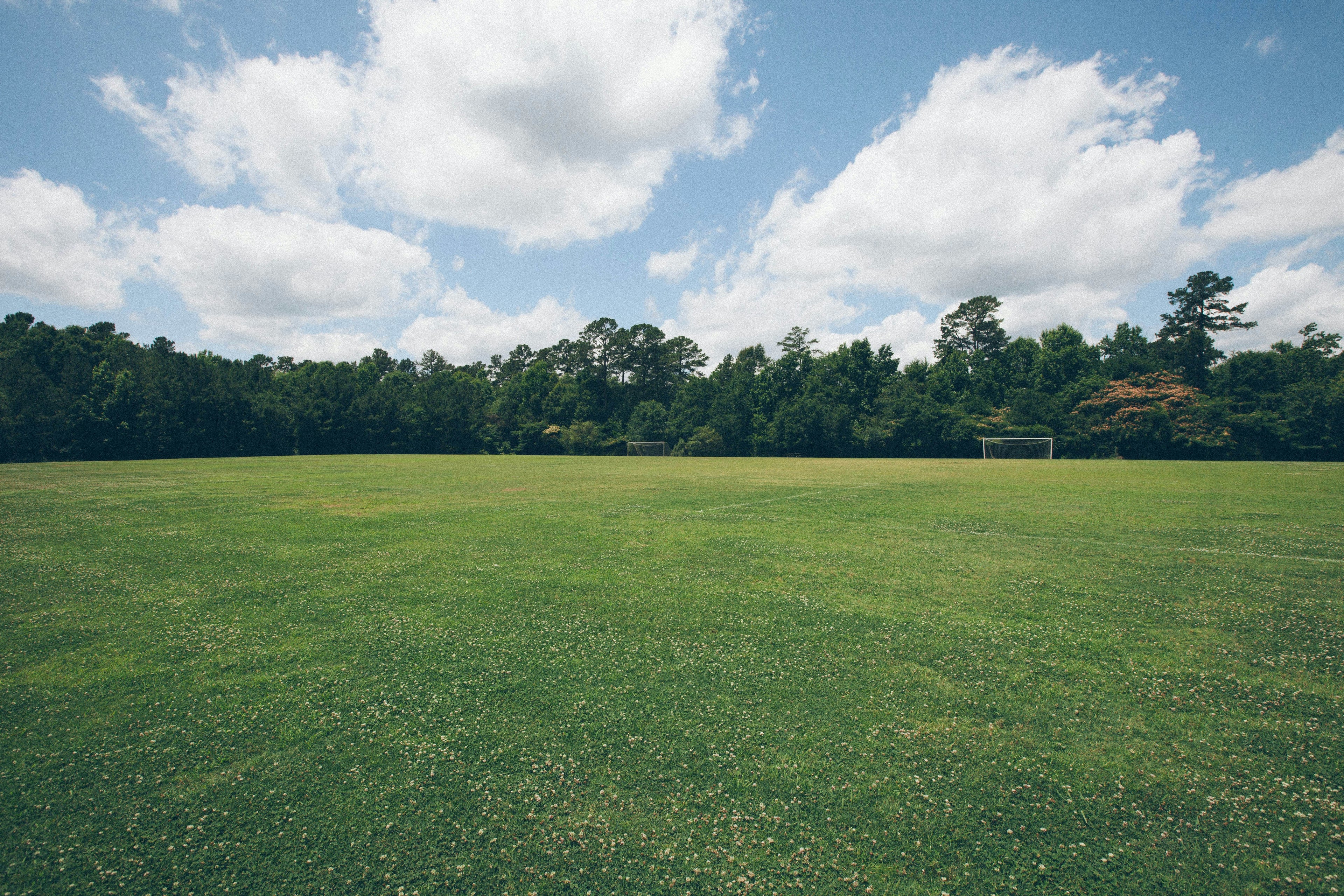 Grass Planting Services in Dubai