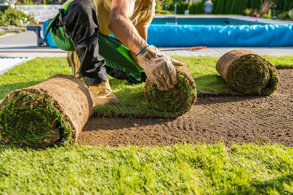 Grass Planting Services in Dubai